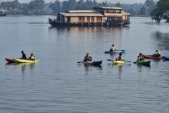 wp-17208583681546227566621391606587