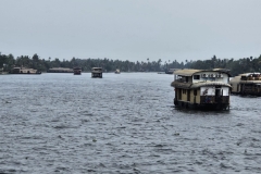 wp-17208583707975769105682327824166