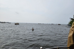 wp-17208583709228360100855297801391