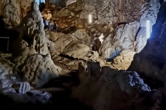 wp-1675658786504